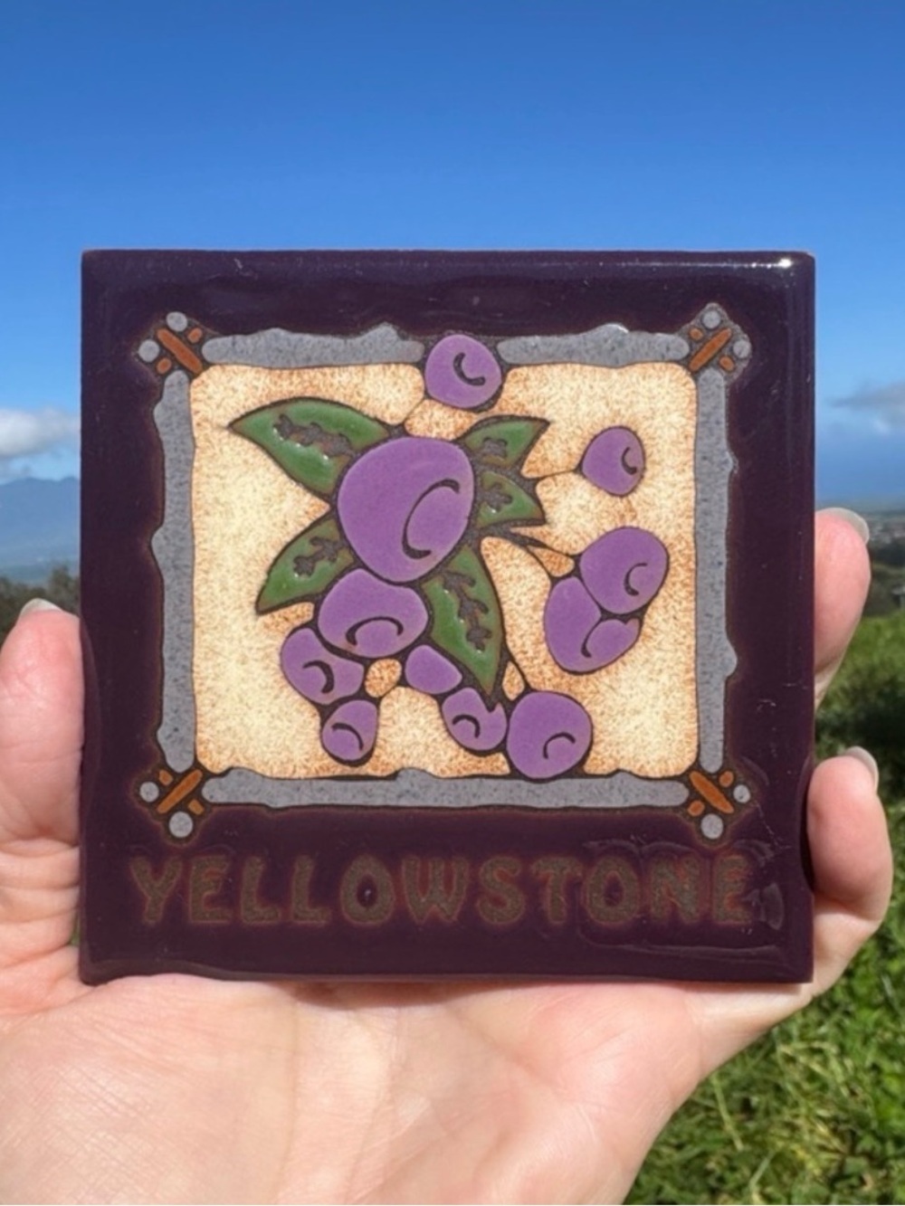 Yellowstone Ceramic tile purple berry made in Italy